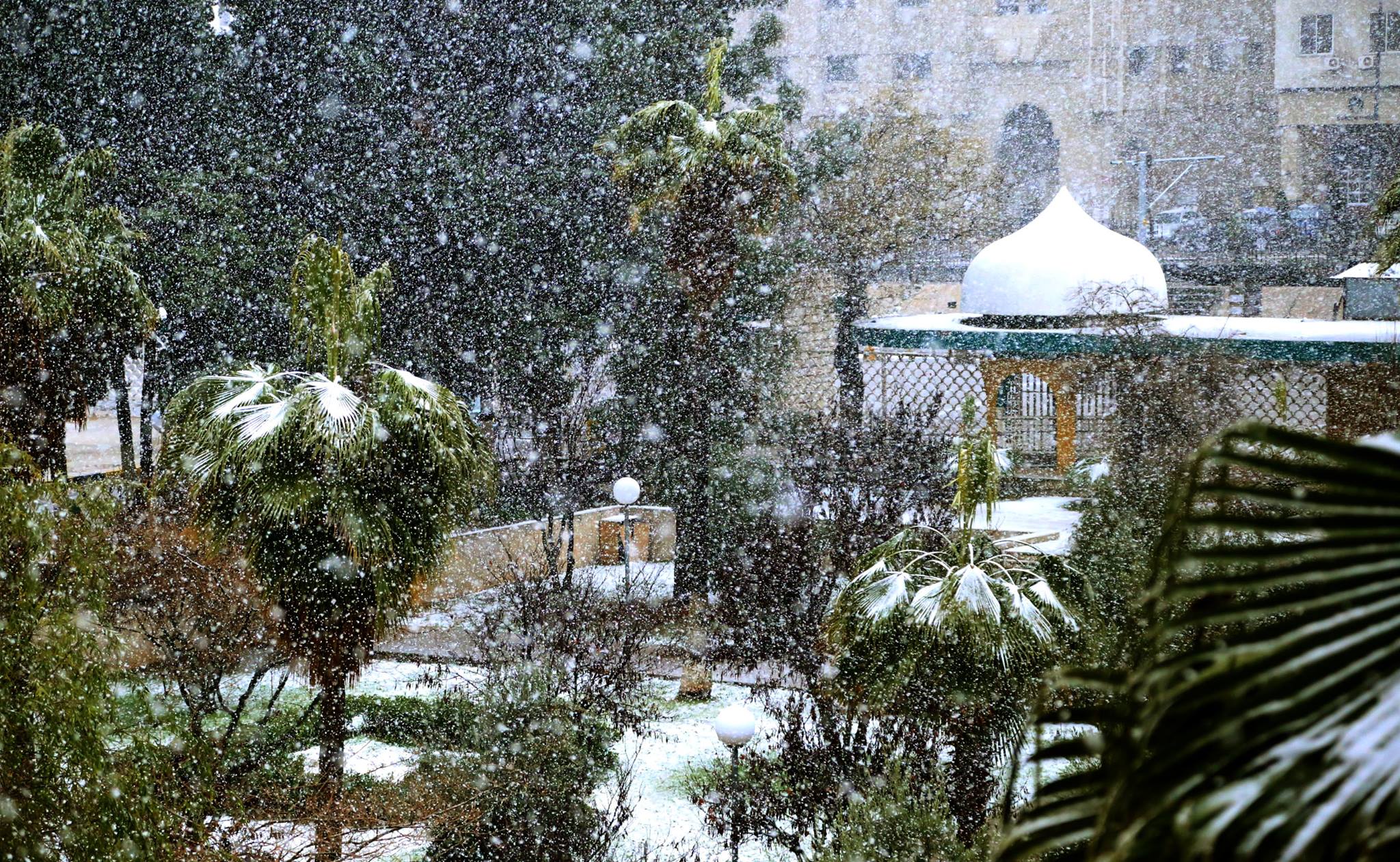 University of Jordan in snow.
